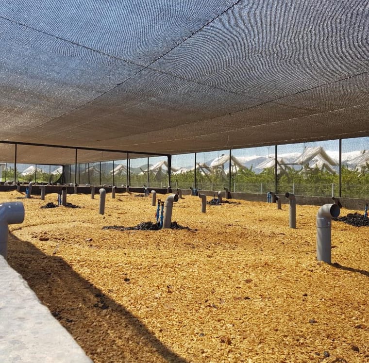 $2a$10$V3L05KOYqO1D5YFFeTZ6z.ufjjhJjUjttA7P2qG3VZA9zg8esfcAW