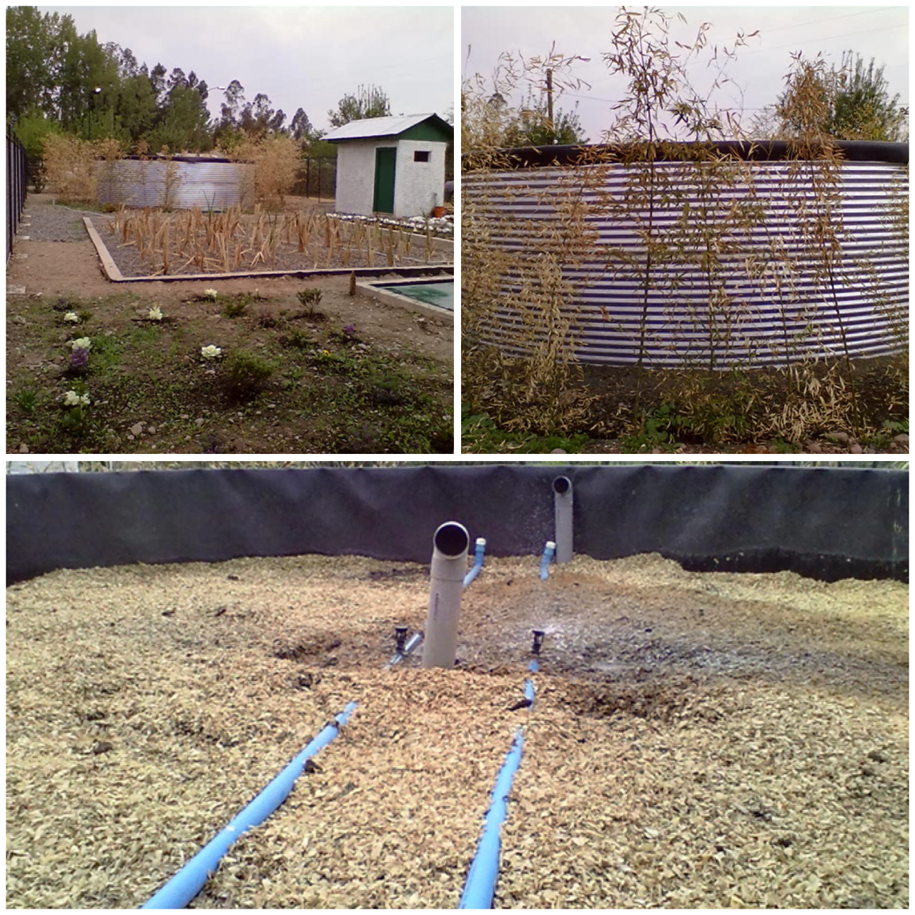 $2a$10$lbIAxdac7QuHYRheQbvNK.9StBHsJHCT1aA.qHRpAAUI7aAsS5SCe